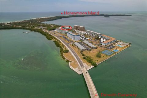 7 ISLAND PARK PLACE 204 DUNEDIN FL 34698