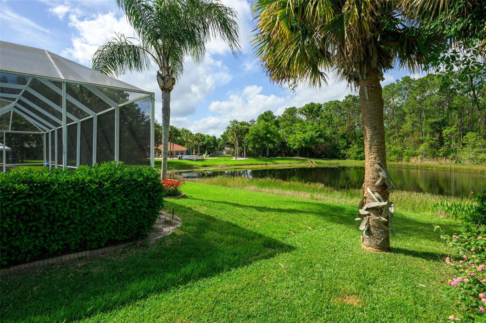 CYPRESS HEAD PH 01A - Residential