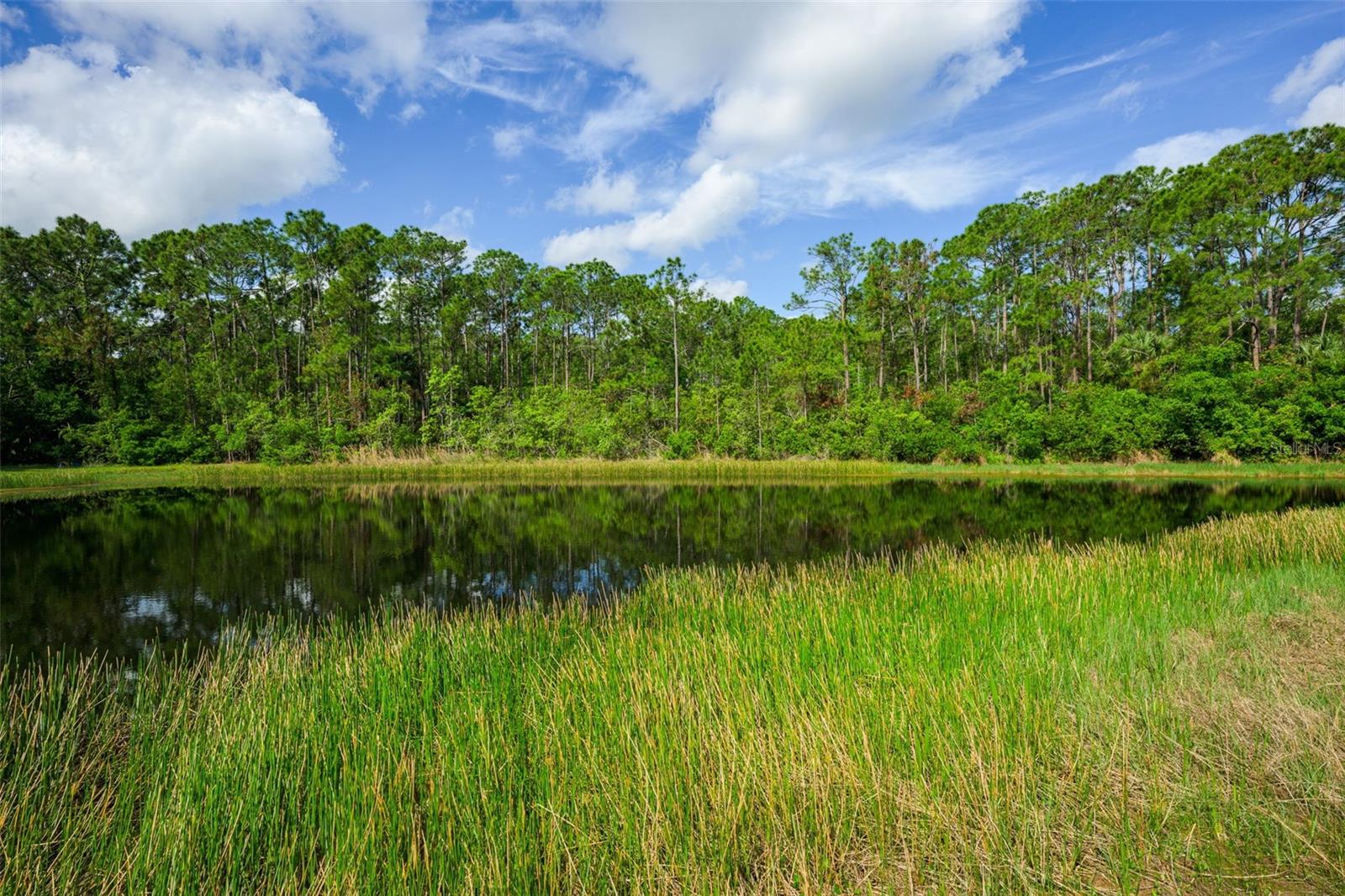 CYPRESS HEAD PH 01A - Residential
