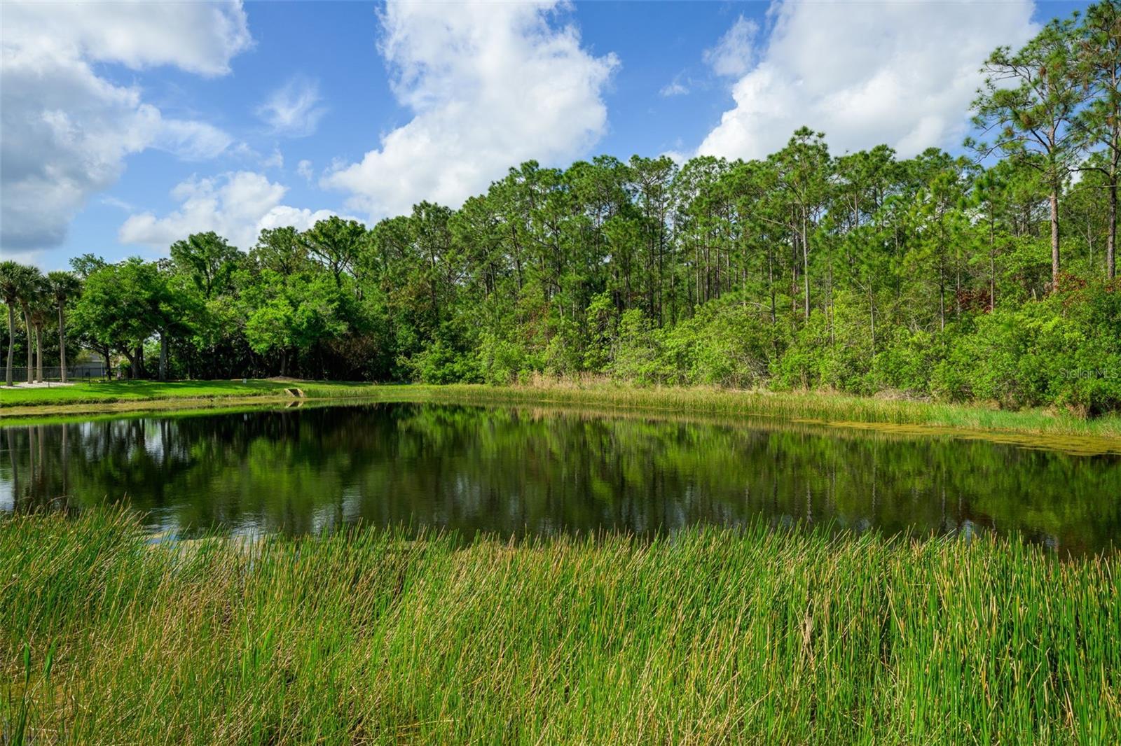 CYPRESS HEAD PH 01A - Residential