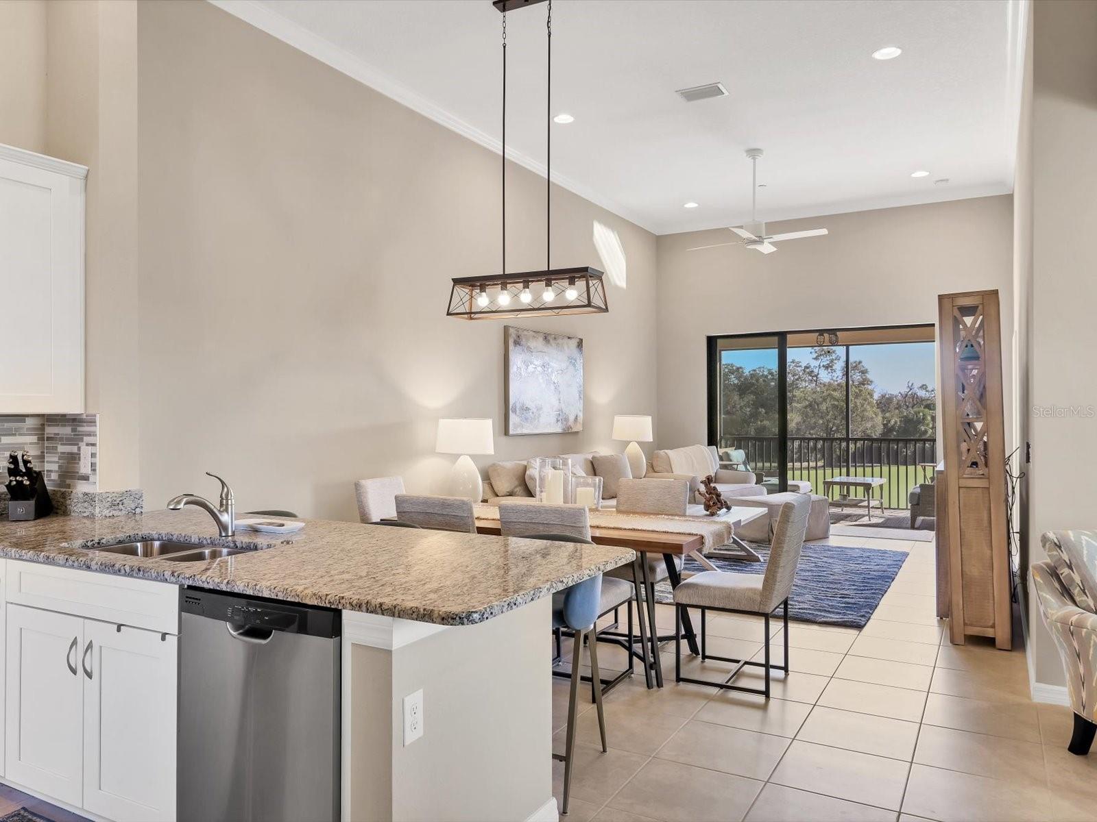 BACCIANO IV AT ESPLANADE LAKEWOOD RANCH - Residential