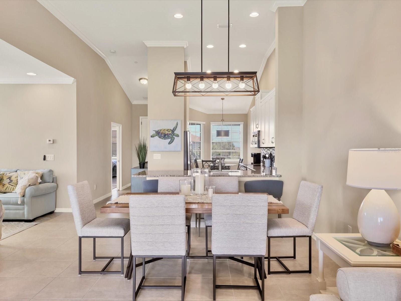 BACCIANO IV AT ESPLANADE LAKEWOOD RANCH - Residential