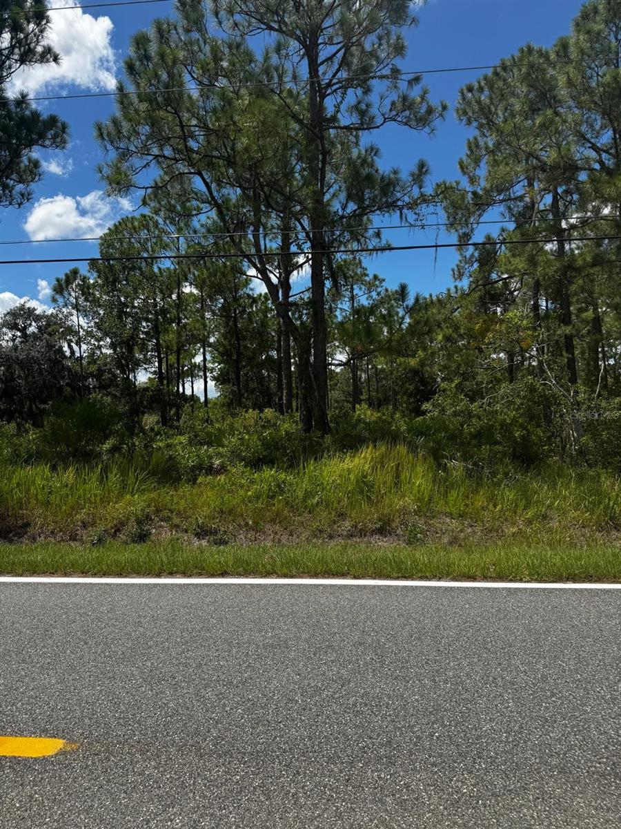 MCCLELLAN ROAD 6