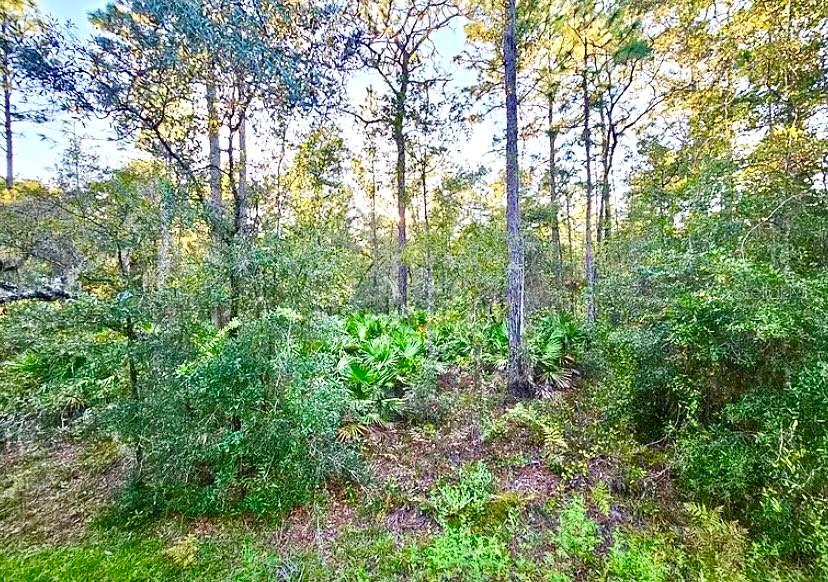 Welcome to your slice of untouched Florida paradise! Nestled in Crystal River, this stunning 1.25-acre wooded lot offers peace, privacy, and endless potential. Surrounded by mature pines, palmettos, and native foliage, this property provides the perfect backdrop for your future dream home or weekend retreat.
Located in a quiet and scenic area, you'll enjoy easy access to all of the natural wonders Crystal River has in store—swimming with manatees, boating, kayaking, and exploring the beautiful springs and Gulf coast. No HOA restrictions here, so bring your vision—whether it's a custom-built home, cabin, or mobile/manufactured home.