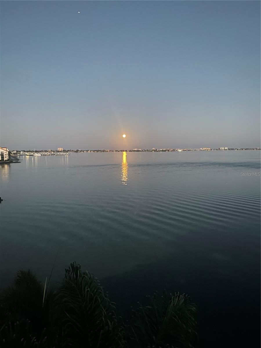 ISLA KEY CONDO - Residential