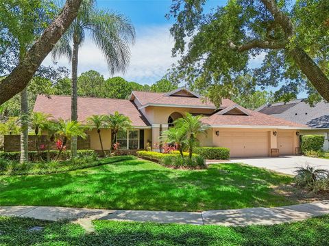 A home in TAMPA