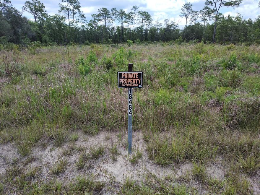 Large residential lot.  Property was cleared less than 2 years ago, so minimal expense for site prep. Packed limestone roads for easy access.  Brooksville just a short drive away for all the big box stores, restaurants and medical treatment facilities. Some game and wildlife in the area. Many opportunities to fish and swim in both fresh and salt water. No associations governing this area.  The lot is big enough for large home and a pool. Act now before it is gone.