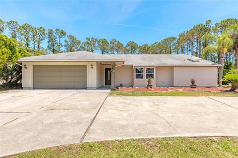 Photo of 85 Pheasant Drive, Palm Coast, FL 32164 (MLS # V4942543)
