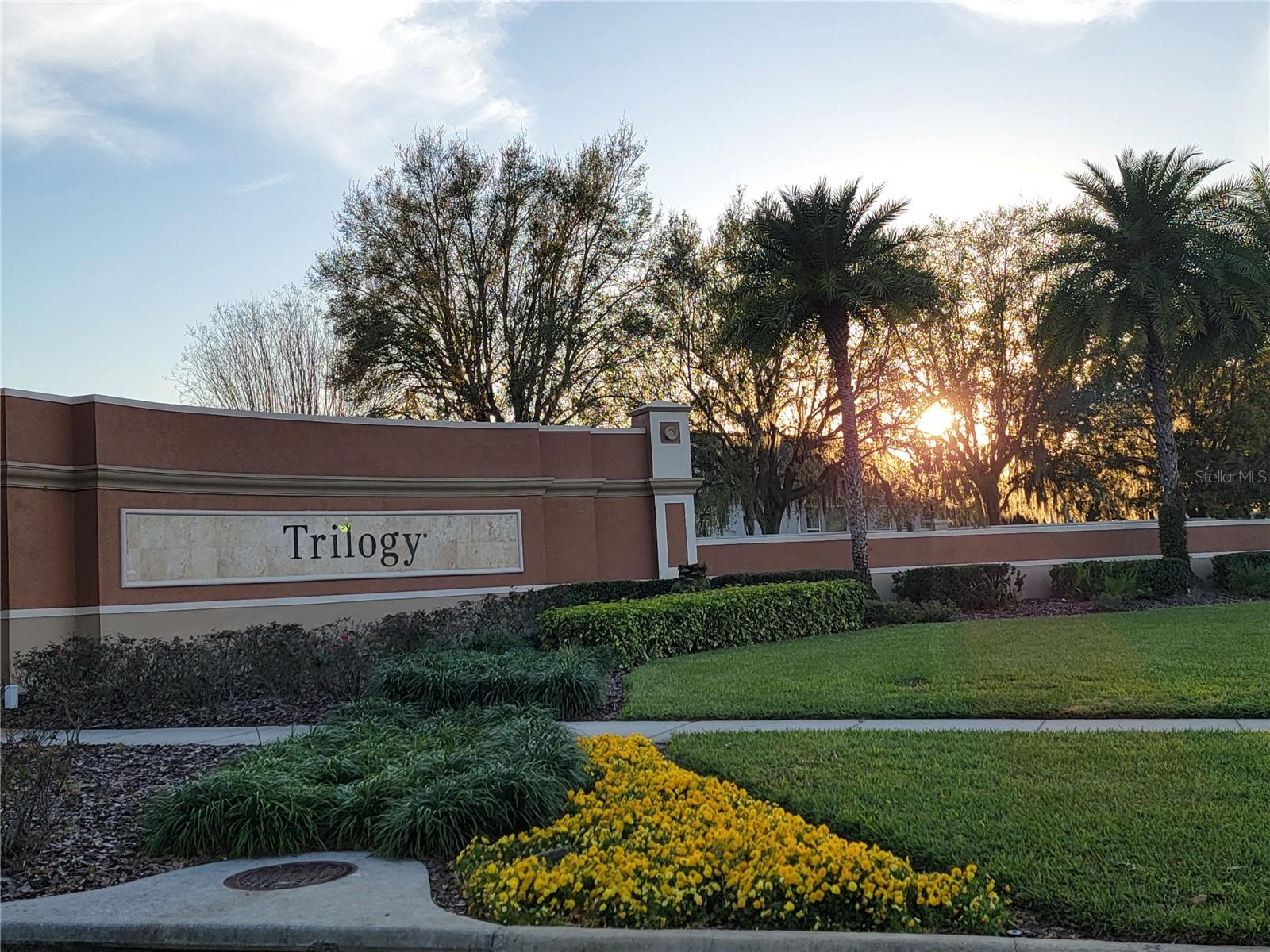 CASCADES OF GROVELAND - Residential
