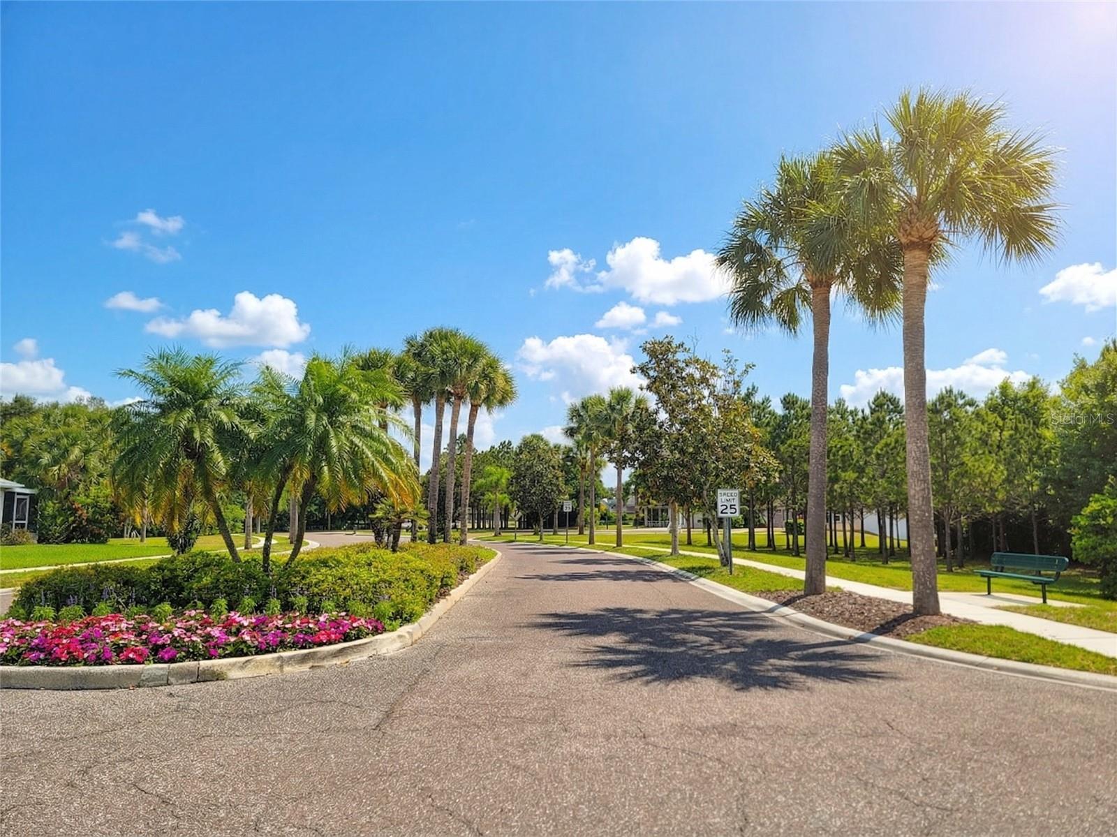 IVY LAKE ESTATES - Residential