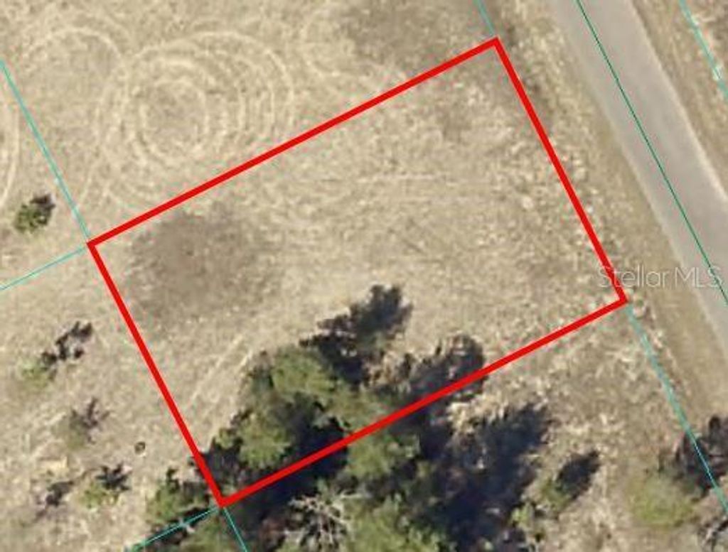 Photo of Tbd Fisher Run Trak, Ocklawaha, FL 32179 (MLS # OM699269)