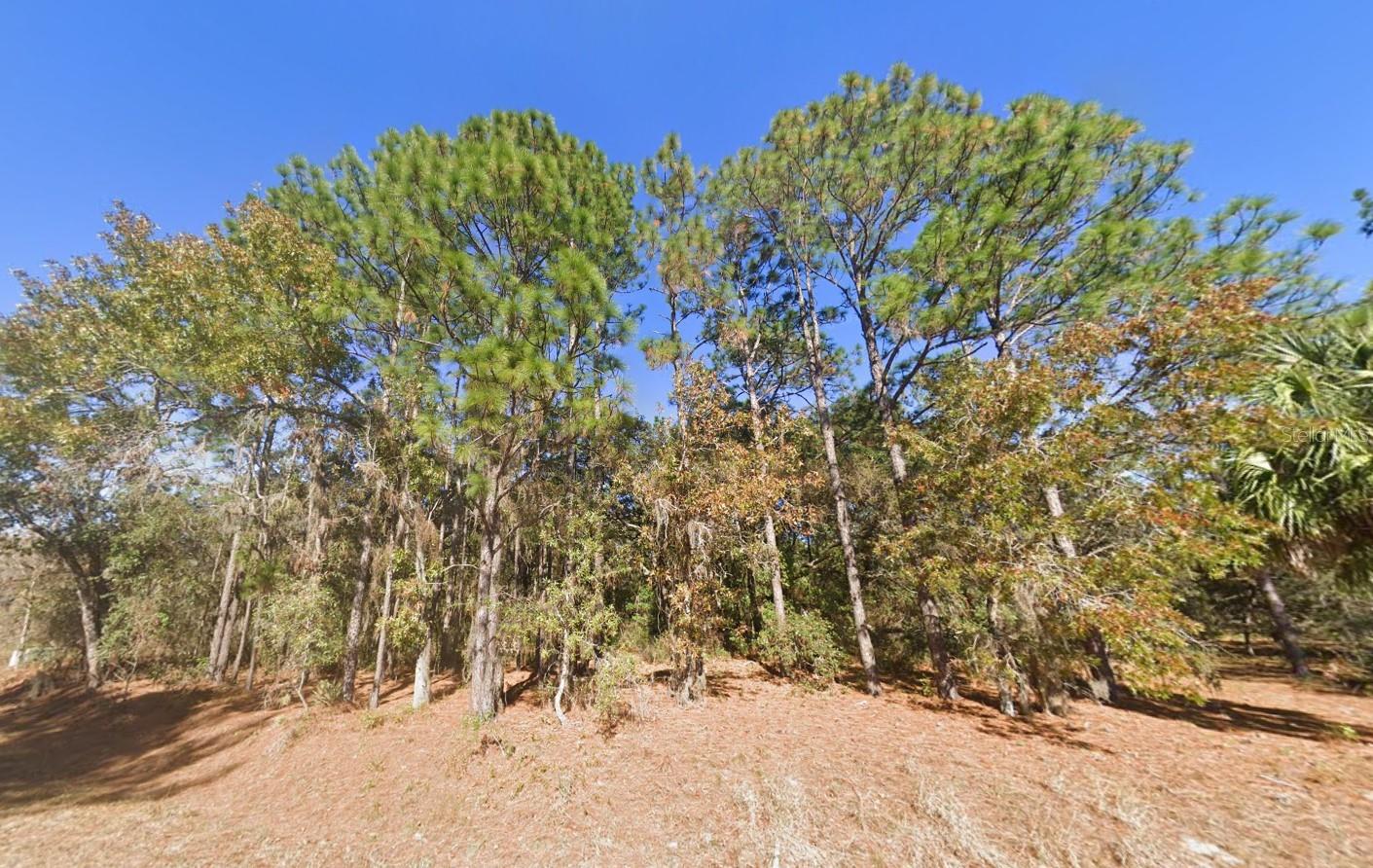 WILDWOOD COUNTRY ESTATES PH I - Land