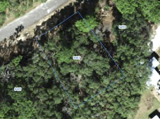 8447 N TEMPEST DR, DUNNELLON, FL 34433 - Image 3a4fbaee56d69eb9ad3c41f17e64ee16/4094686903
