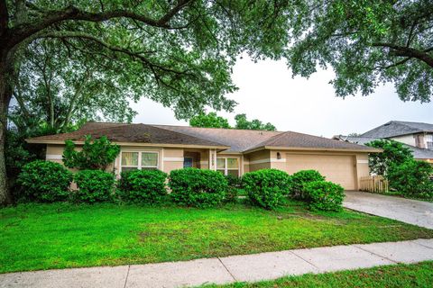 A home in VALRICO