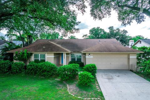 A home in VALRICO