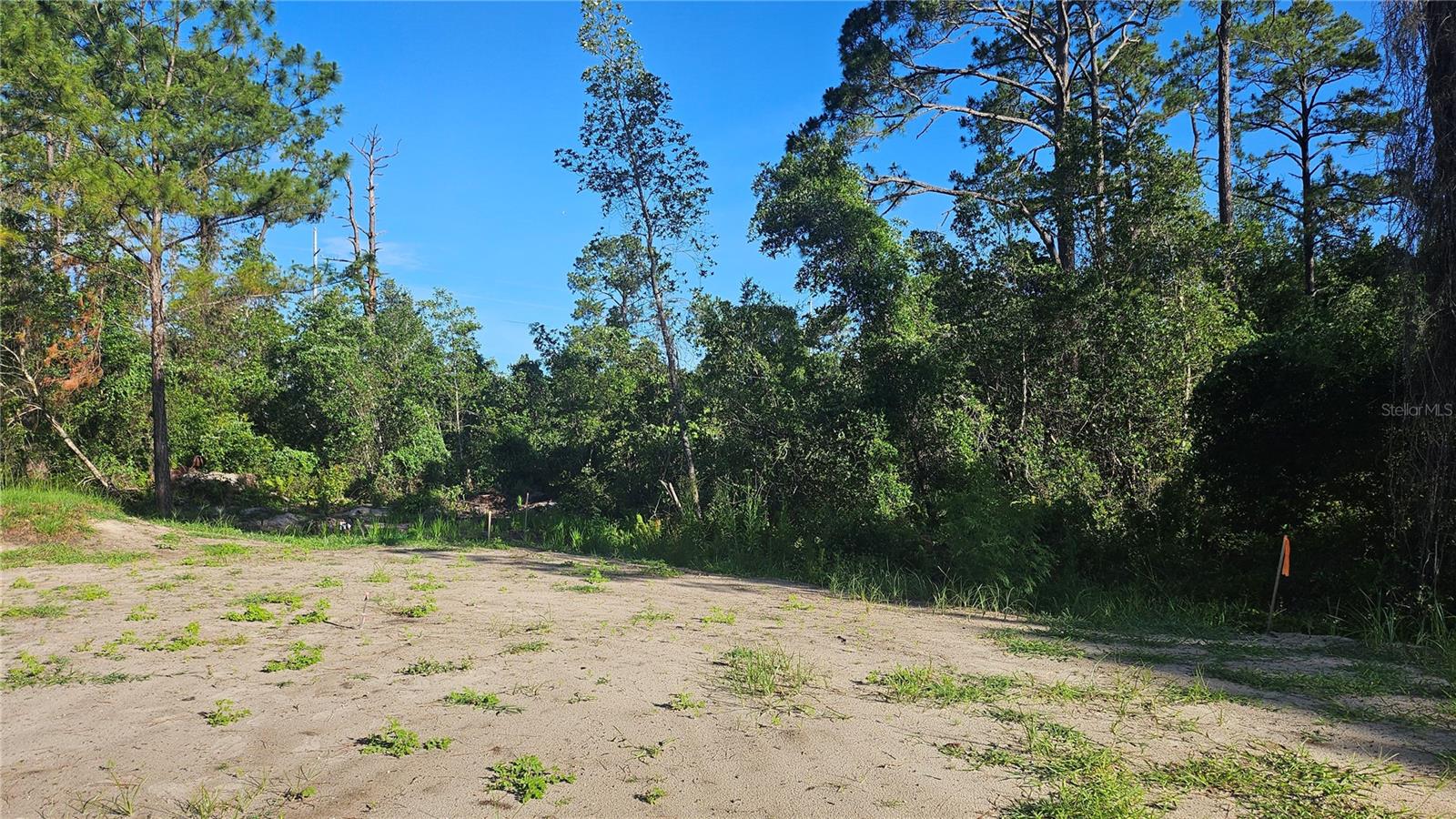 DAYTONA PARK ESTATES SEC D - Land