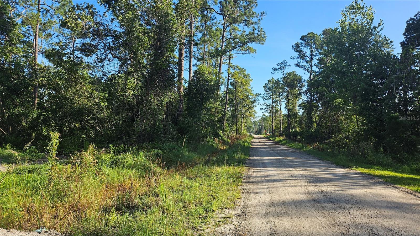 DAYTONA PARK ESTATES SEC D - Land