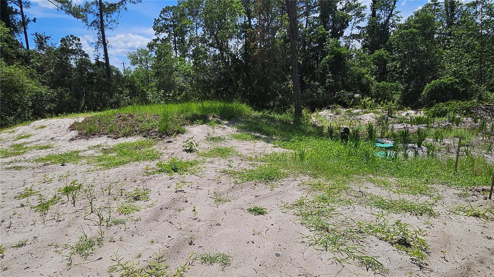 DAYTONA PARK ESTATES SEC D - Land