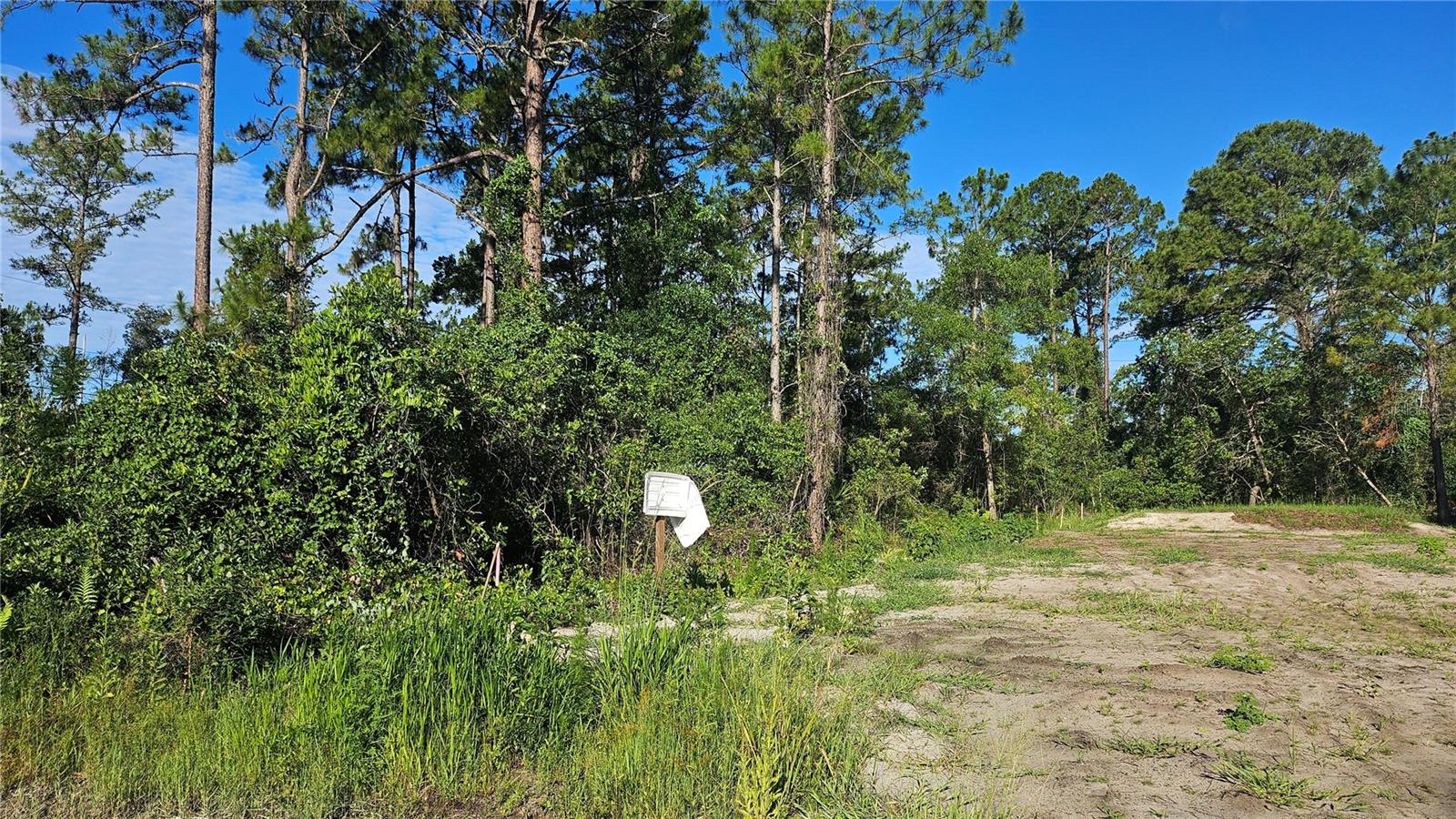 DAYTONA PARK ESTATES SEC D - Land