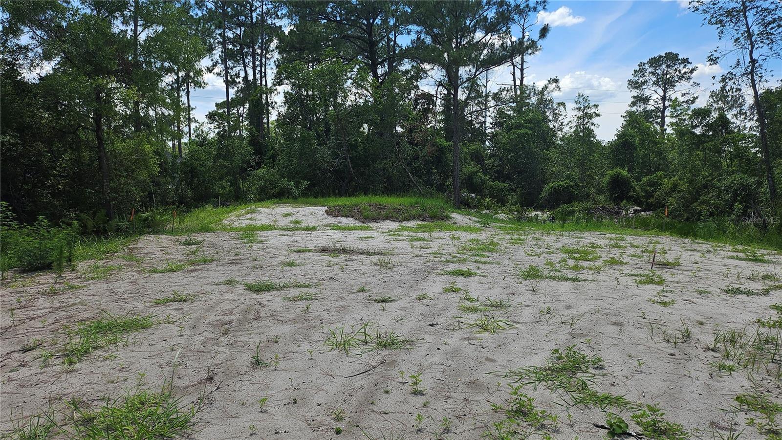 DAYTONA PARK ESTATES SEC D - Land