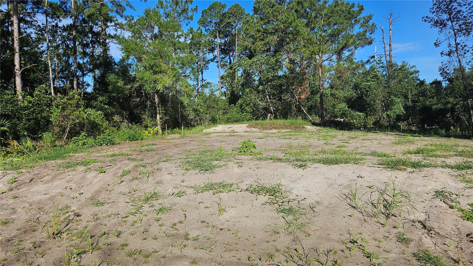 DAYTONA PARK ESTATES SEC D - Land