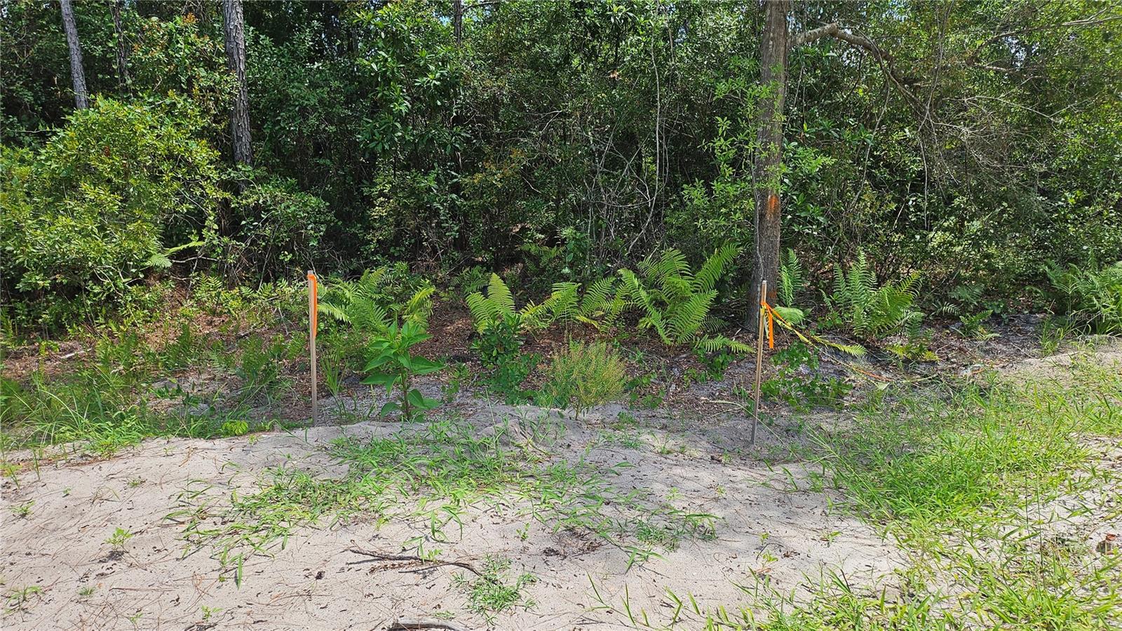 DAYTONA PARK ESTATES SEC D - Land