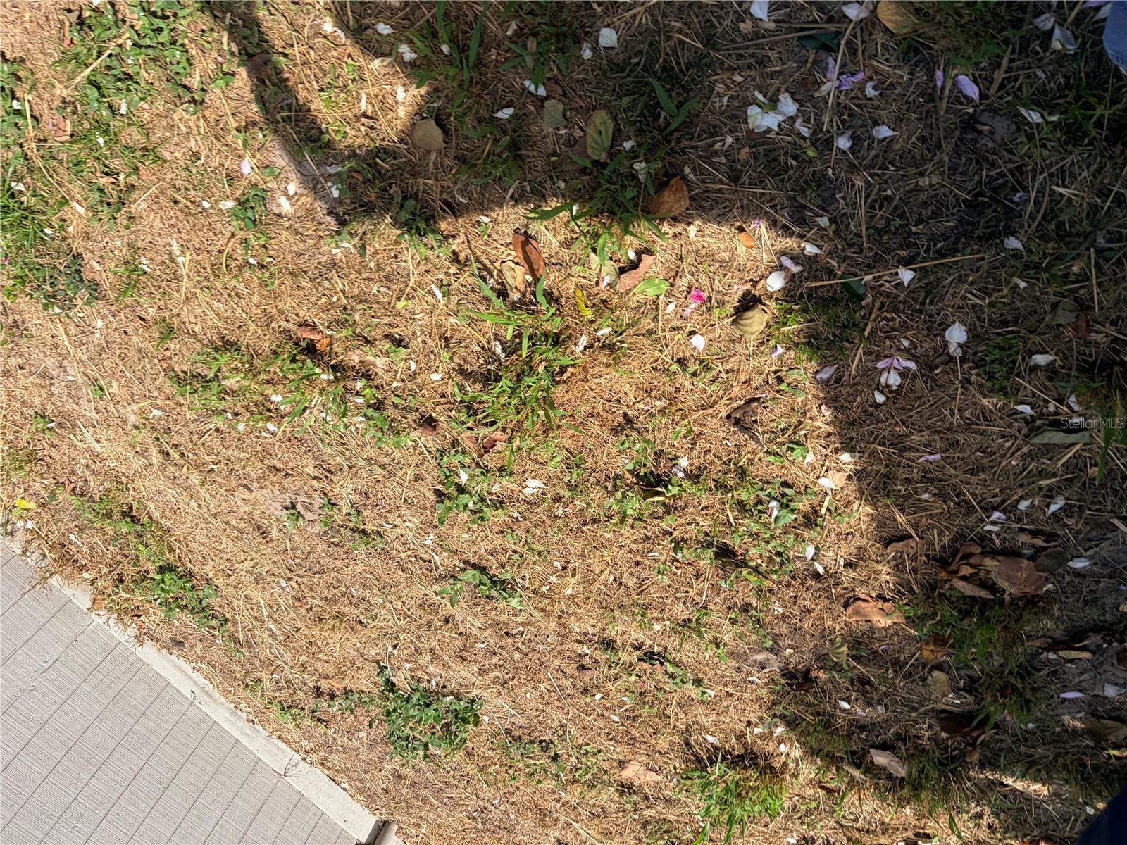 GROVE PARK SUB UN 5 - Residential