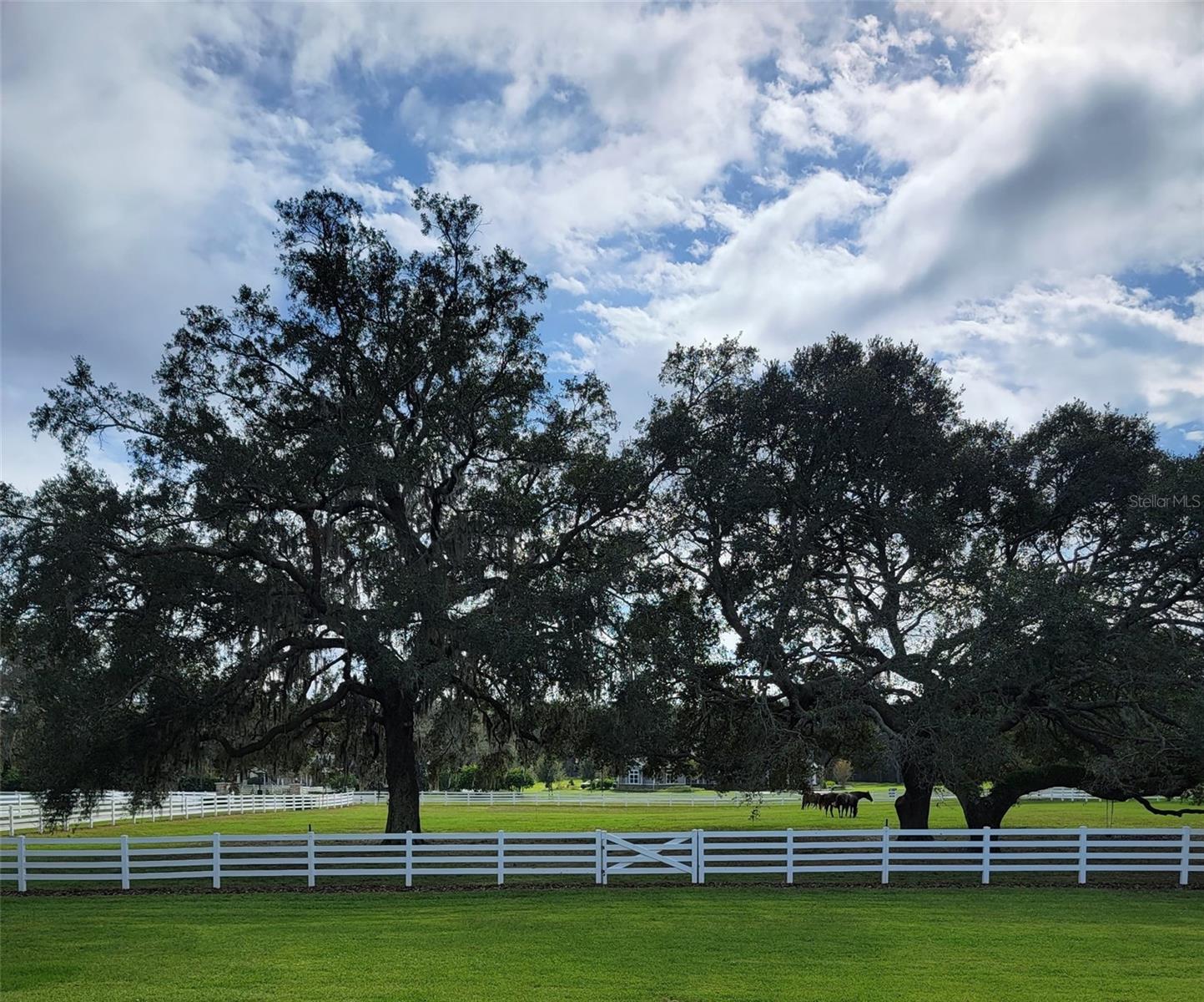 BLUEGRASS ESTATES - Residential