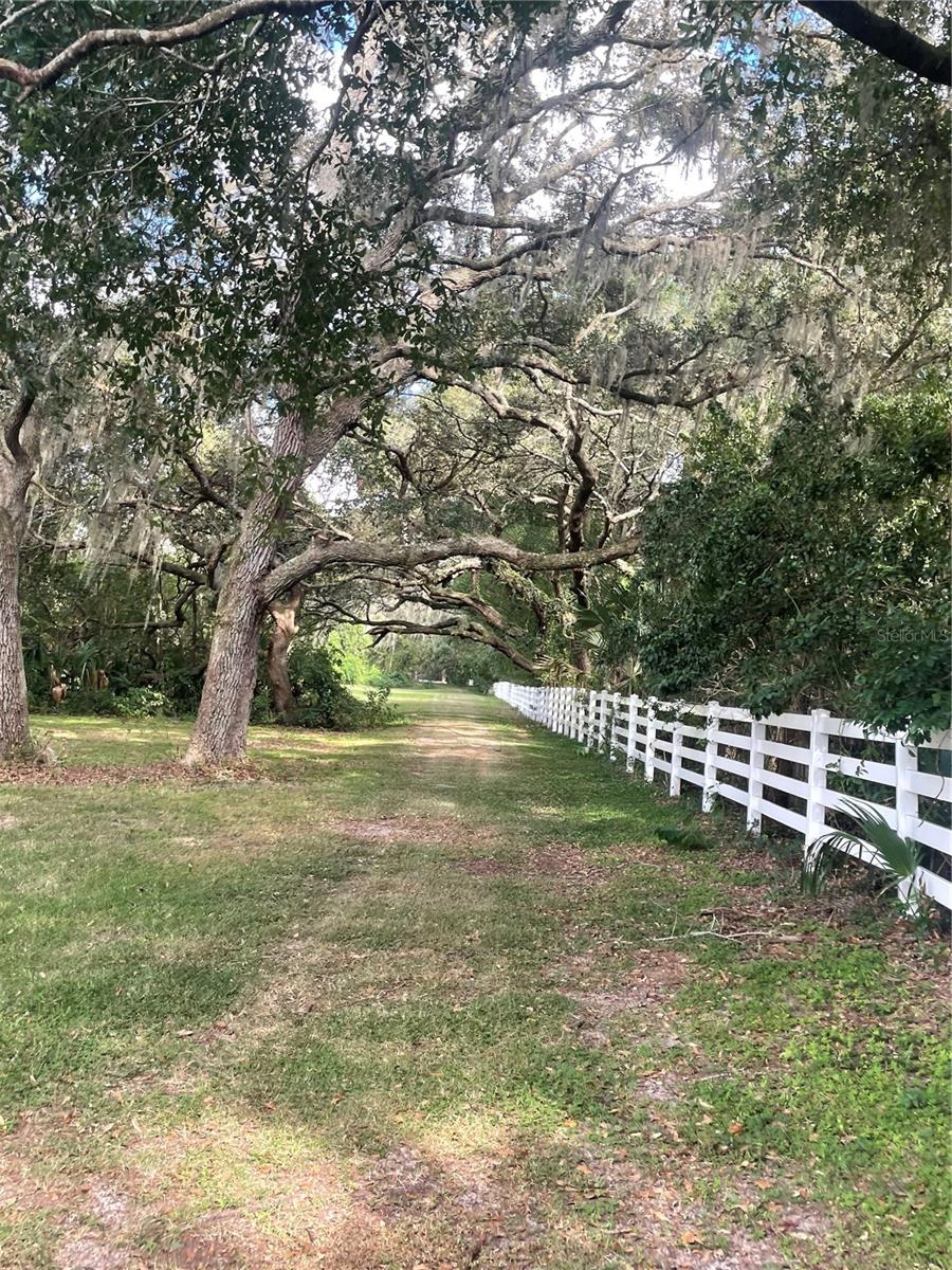 BLUEGRASS ESTATES - Residential