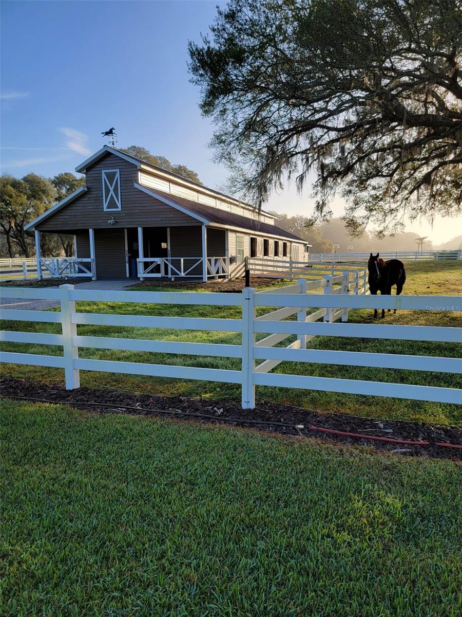 209 KENTUCKY BLUE CIRCLE