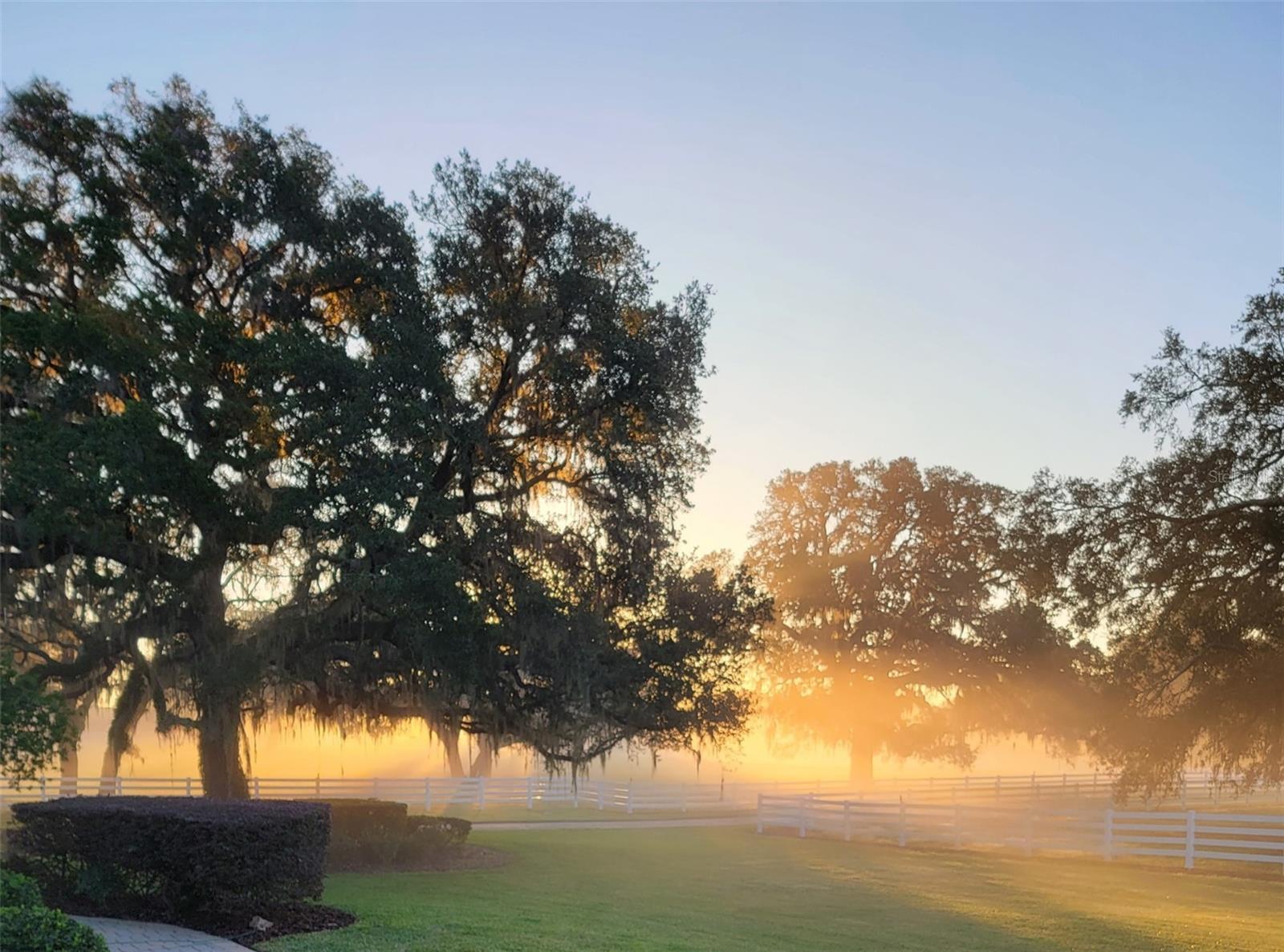 BLUEGRASS ESTATES - Residential