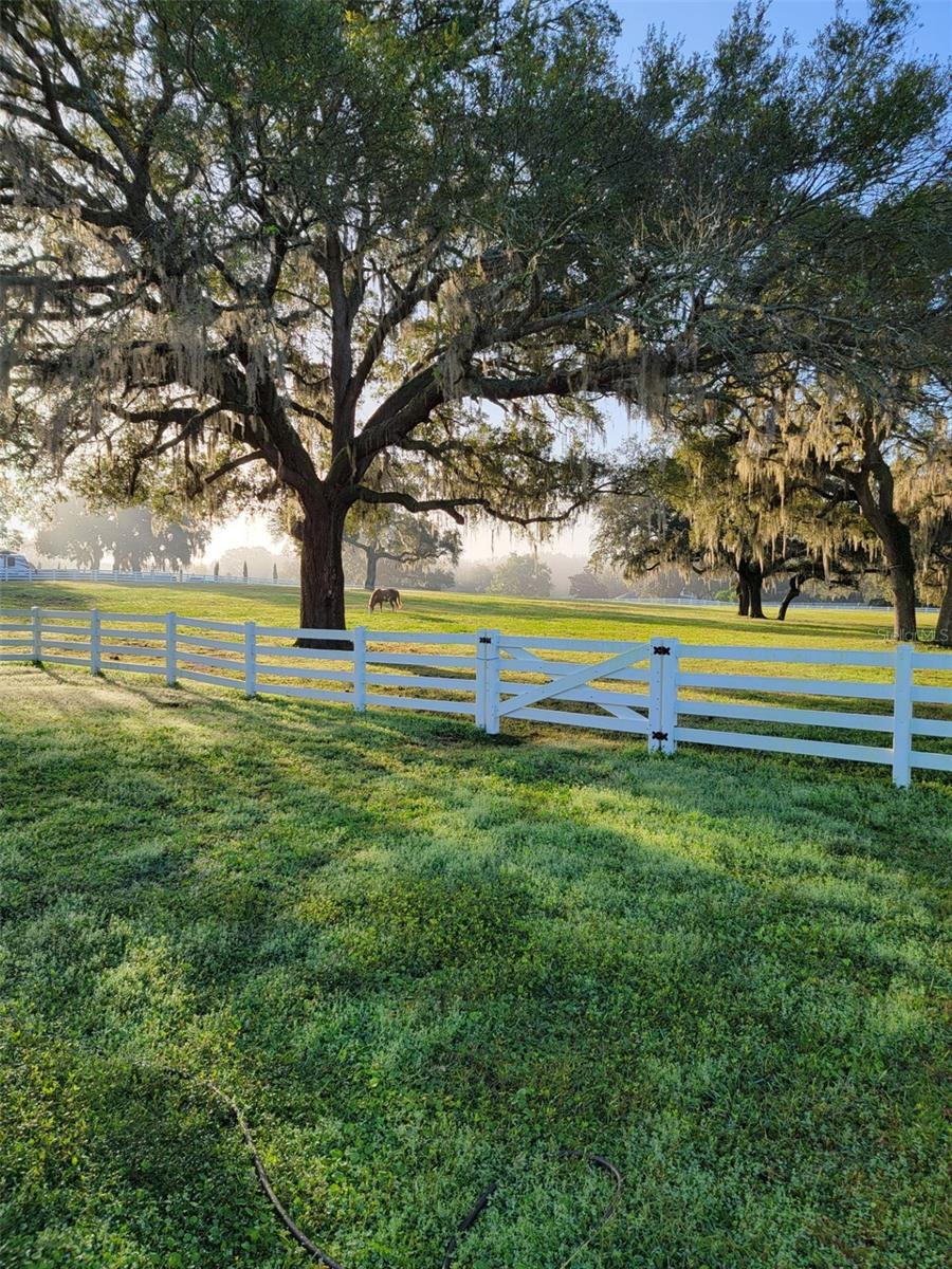 BLUEGRASS ESTATES - Residential