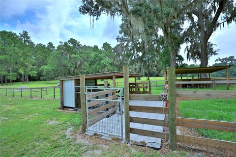 Tiny photo for 8410 NE 155th Avenue, Williston, FL 32696 (MLS # OM729504)