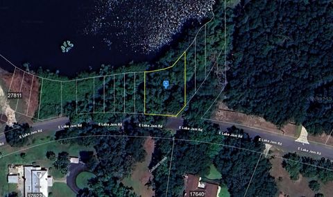 27720 LAKE JEM ROAD MOUNT DORA FL 32757