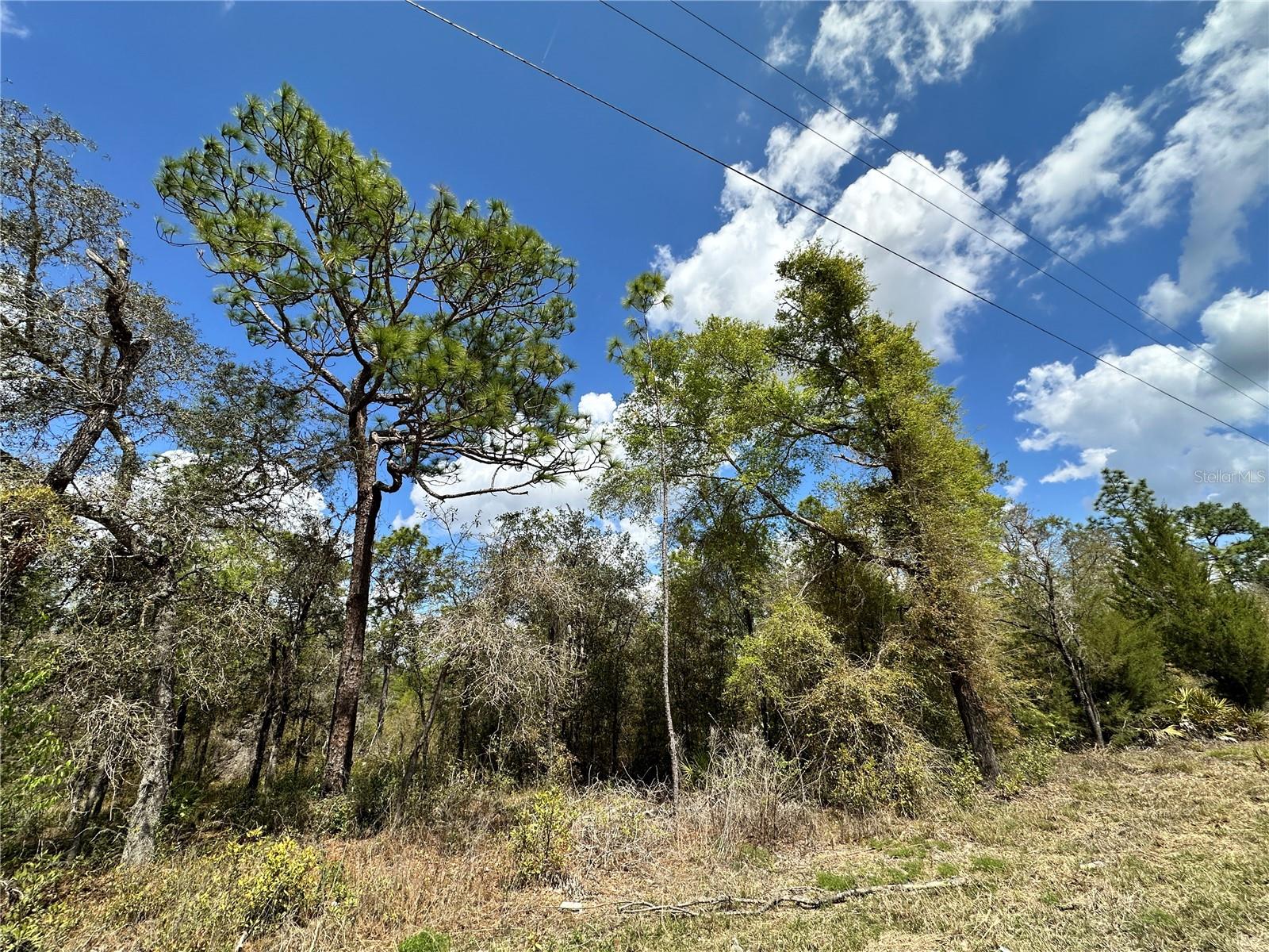 OAK RIDGE ESTATE - Land