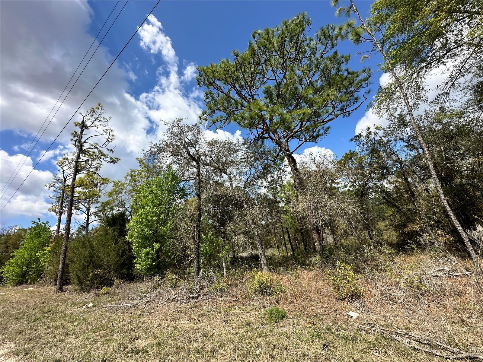 OAK RIDGE ESTATE - Land