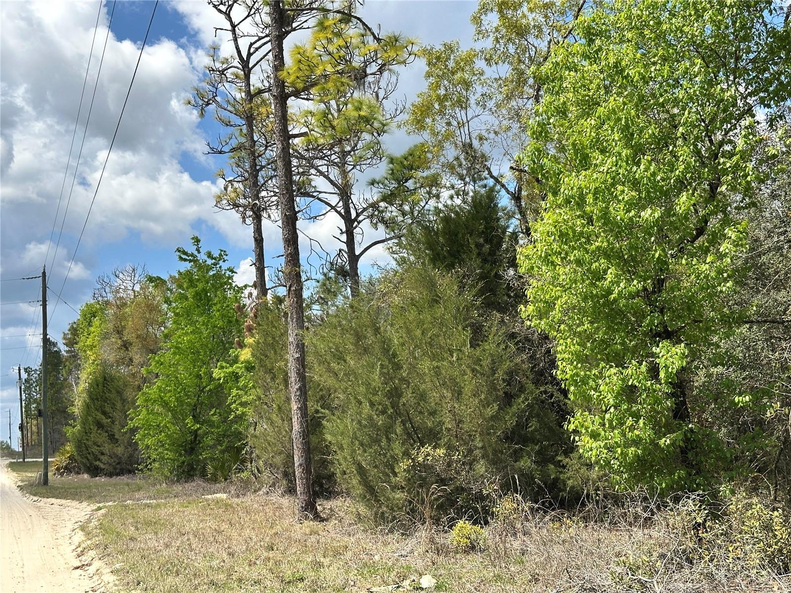 OAK RIDGE ESTATE - Land