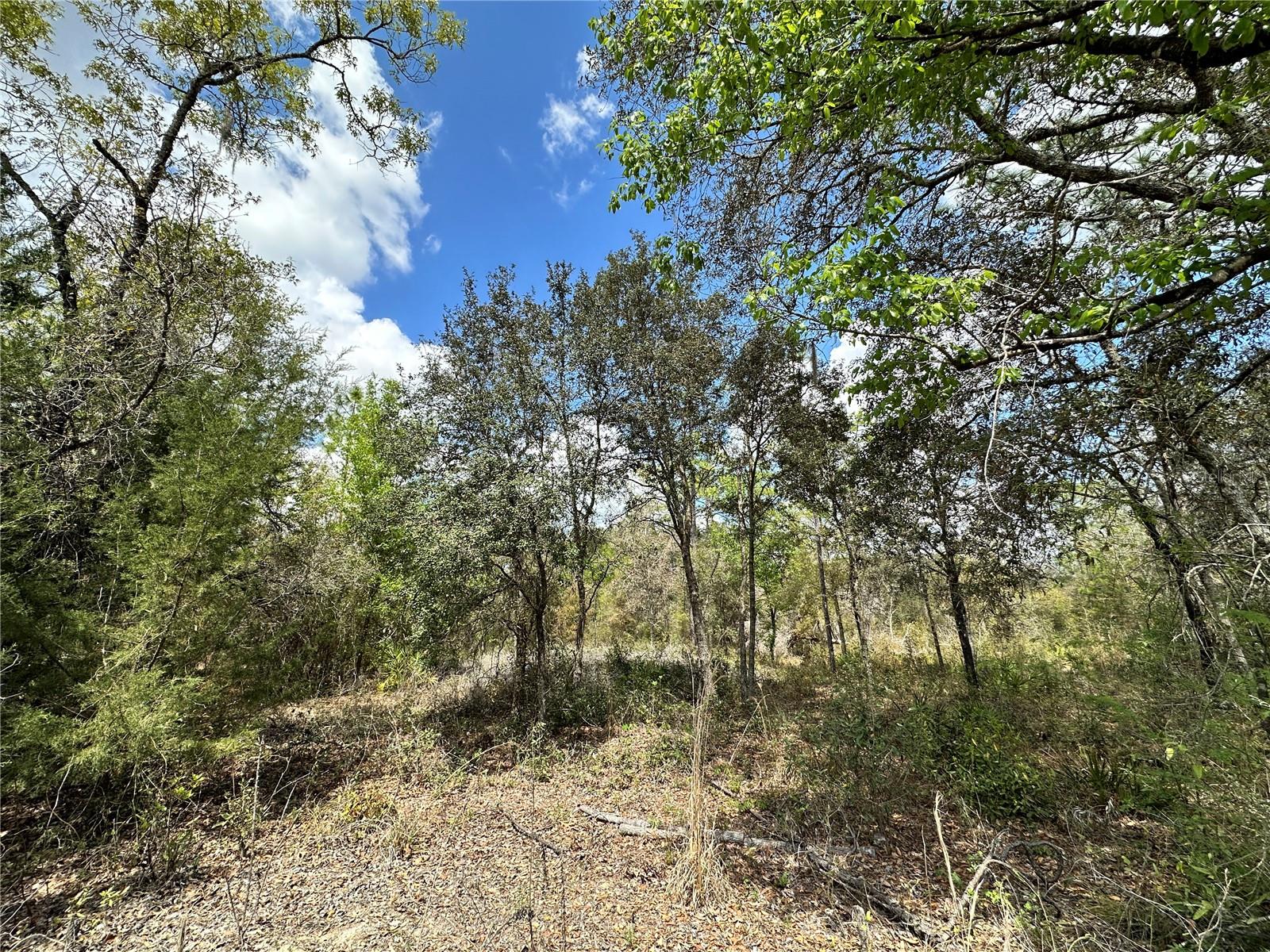 OAK RIDGE ESTATE - Land