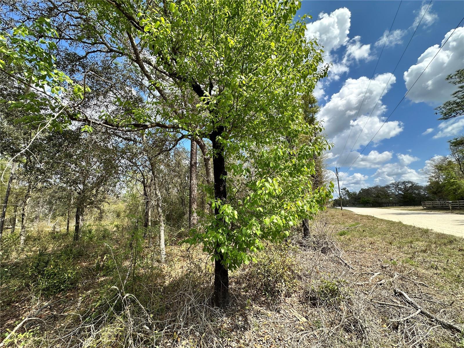 OAK RIDGE ESTATE - Land