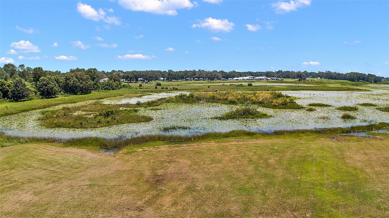 LAKE ANDREW PRESERVE - Land