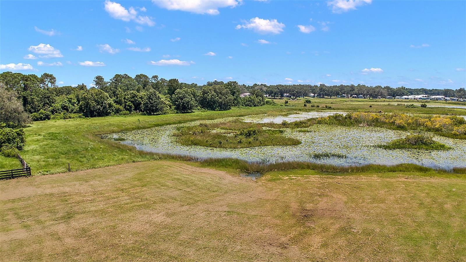 LAKE ANDREW PRESERVE - Land