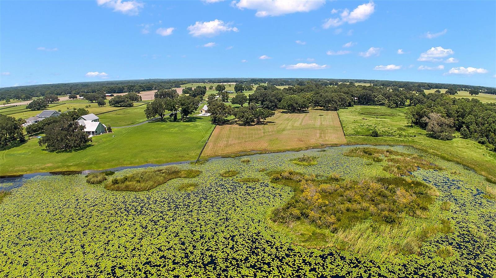 LAKE ANDREW PRESERVE - Land