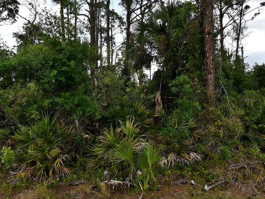 Excellent opportunity to acquire a residential lot in a growing and highly desirable area of North Port. Ideal for building a new home or as an investment property, this lot is surrounded by ongoing new construction, reflecting strong development and demand in the area.
Conveniently located near schools, shopping, dining, and everyday amenities, with easy access to US-41 and I-75. Just minutes from the North Port Aquatic Center, featuring a competition pool, water slides, and a lazy river, as well as close proximity to Suncoast Technical College, Shannon Staub Library, and a variety of retail and grocery options.
Enjoy being near some of Southwest Florida’s top destinations, including Venice, Port Charlotte, and Punta Gorda, along with easy access to golf courses, boating, world-class fishing, and beautiful Gulf beaches. North Port is also home to the Atlanta Braves Spring Training facility, adding to the area's appeal and growth.
With unbeatable advantages: no HOA, no CDD, no Scrub Jay zone (per the Sarasota County Property Appraiser website as of 05/03/26, please reconfirm during due diligence), and an environmental study already completed (available upon request).
Perfect opportunity for builders, investors, or end-users looking to secure a property in a rapidly expanding community. Seller has additional lots available.