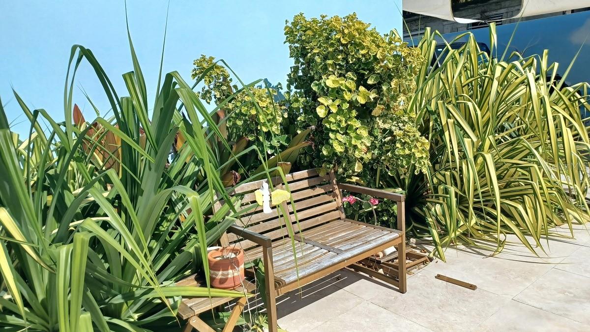 ISABEL SEGUNDA - Residential