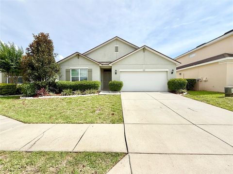 238 MINIEHAHA CIRCLE HAINES CITY FL 33844
