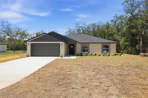 Photo of 2031 W Myakka Road, Avon Park, FL 33825 (MLS # P4938758)