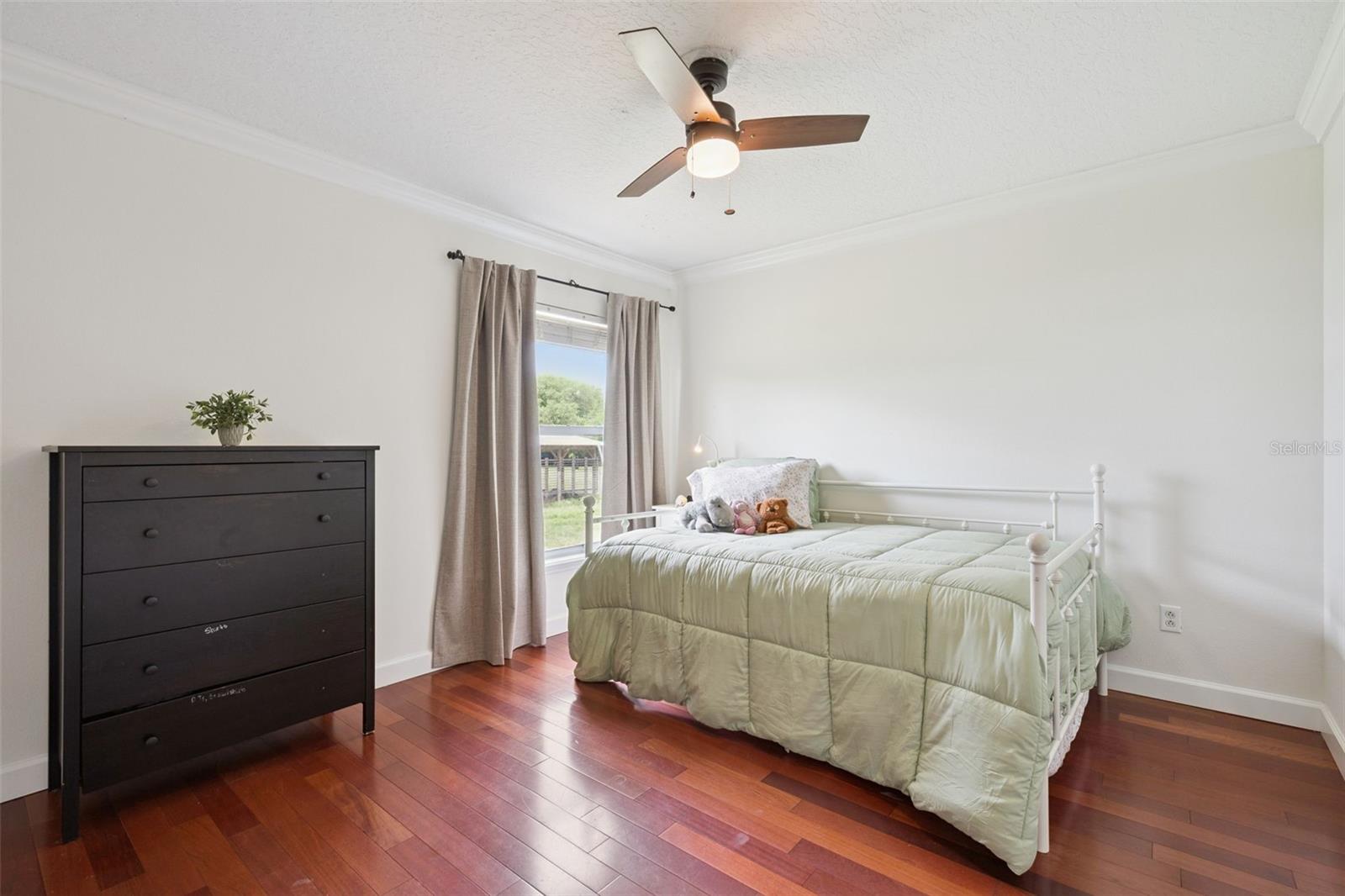 CAPE ORLANDO ESTATES - Residential