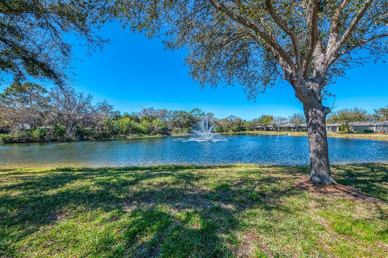 PENNINGTON PLACE - Residential