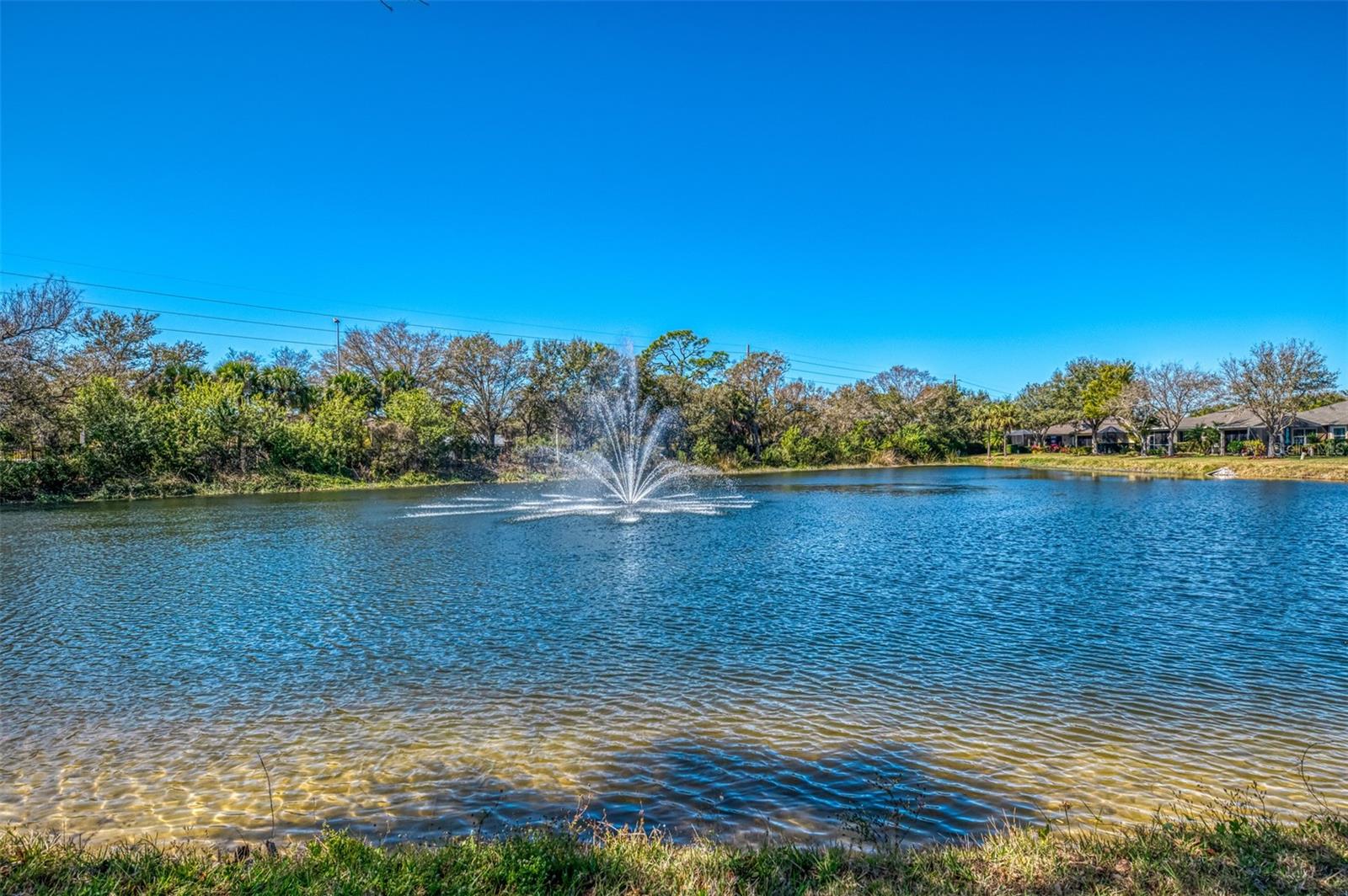 PENNINGTON PLACE - Residential