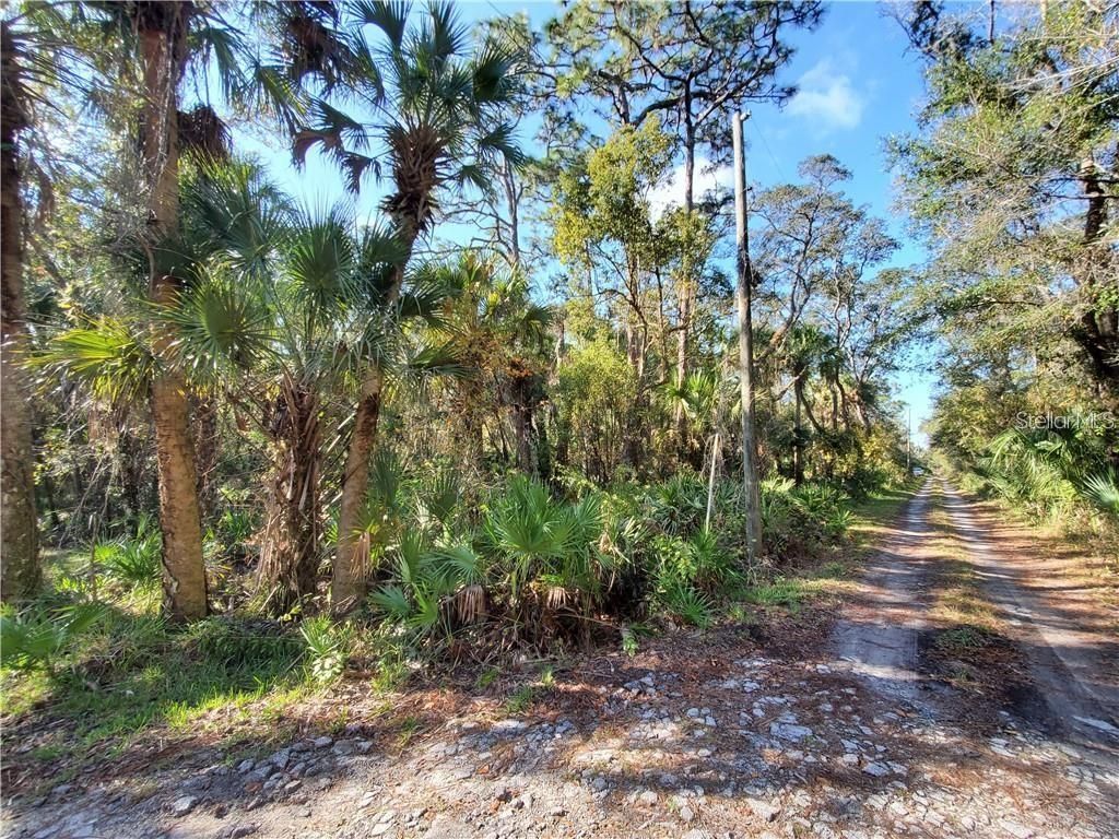 Photo of 8738 Lindy Lane, New Port Richey, FL 34655 (MLS # W7851874)